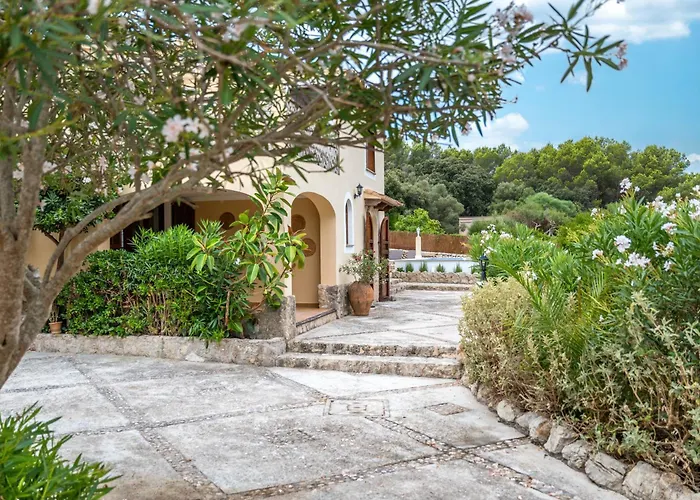 Negri Grand Port de Pollenca